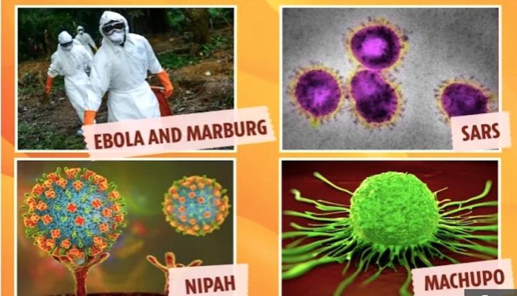 4 فيروسات يمكن أن تؤدي إلى الوباء القادم

