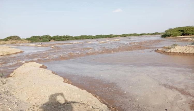 سيول جارفة تتدفق في وادي أحور بأبين