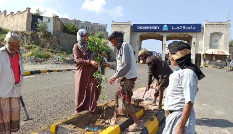 صندوق النظافة يواصل تشجير عدد من شوارع تعز 