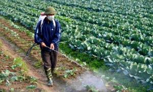 المبيدات في اليمن.. استخدام «عشوائي» يهدد التربة الزراعية