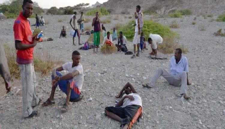 وصول أكبر عدد من المهاجرين إلى اليمن 