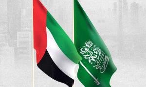 مصدر حكومي يكشف عن منحة سعودية اماراتية مقدمة للحكومة  اليمنية ! 