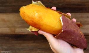 البطاطا الحلوة.. كنز غذائي يعزّز المناعة ويحارب الأمراض
