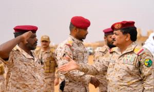 وزير الدفاع يشيد بالجاهزية القتالية والقدرات الميدانية لقوات درع الوطن  
