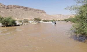 كارثة سيول بحضرموت: وفاة شاب ونفوق 160 رأس غنم وتضرر ممتلكات