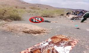في مشهد مأساوي هز هذه المحافظة .. شاب يـ.ـذبح والده بطريقة مروعة وأبناء العم يطاردونه حتى المـ.ـوت