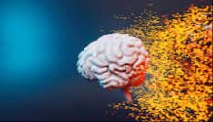 وجبة خفيفة يومية تحسّن الذاكرة خلال أربعة أشهر!