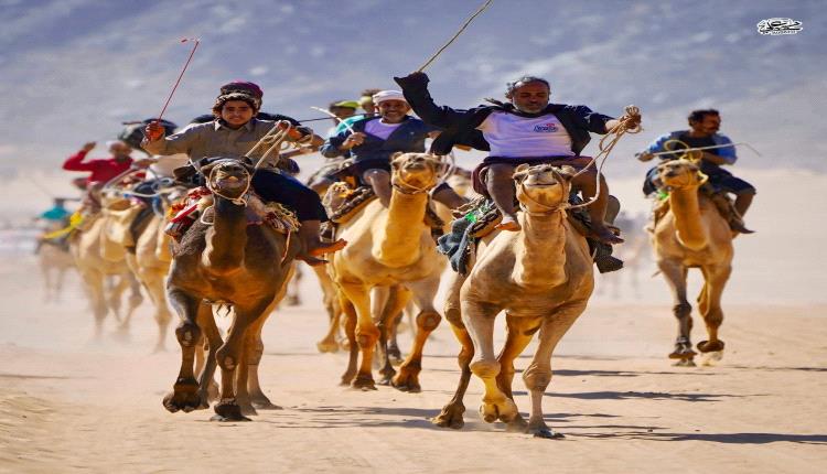 اختتام مميز لفعاليات مهرجان الشيخ محمد بن زايد لسباقات الهجن في شبوة