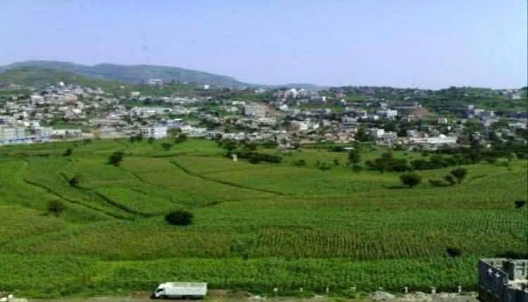 الحـ.ـوثيون يوسّعون الجبايات ويستهدفون مزارعي البطاطس ومربي النحل في إب