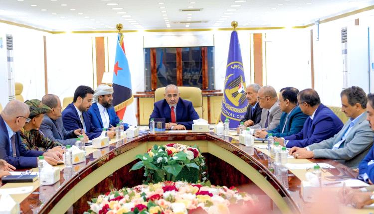 القيادة التنفيذية العليا تشيد بجهود تطبيع الأوضاع بوادي حضرموت والمهرة