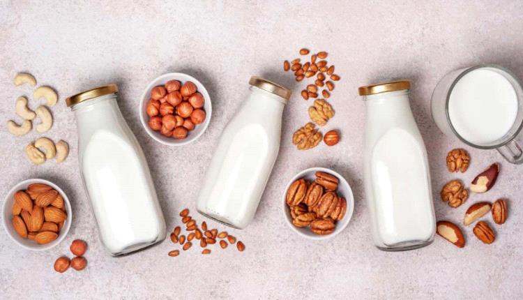 حليب الألبان أم الجوز.. أيهما الأفضل صحياً؟
