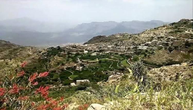 مقـ.ـتل شاب على يد عمه في محافظة ريمة اليمنية