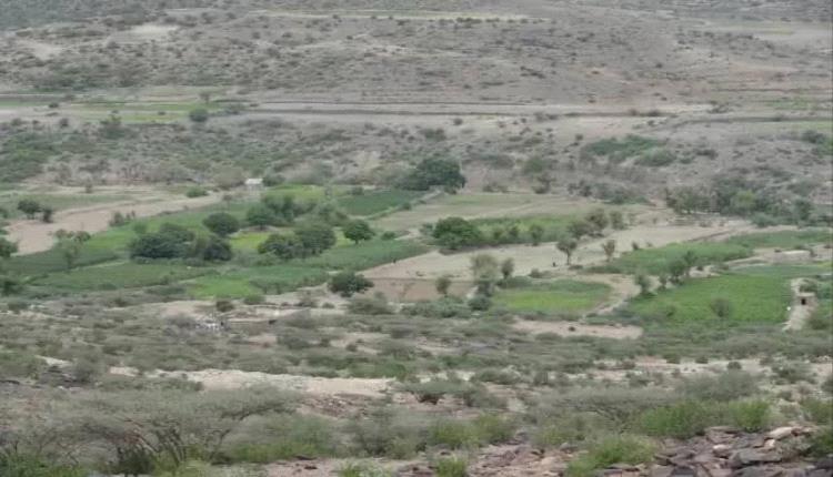 تعز.. مقـ.ـتل وإصابة 5 أشخاص بانفـ.ـجار قنـ.ـبلة إثر خلاف عائلي