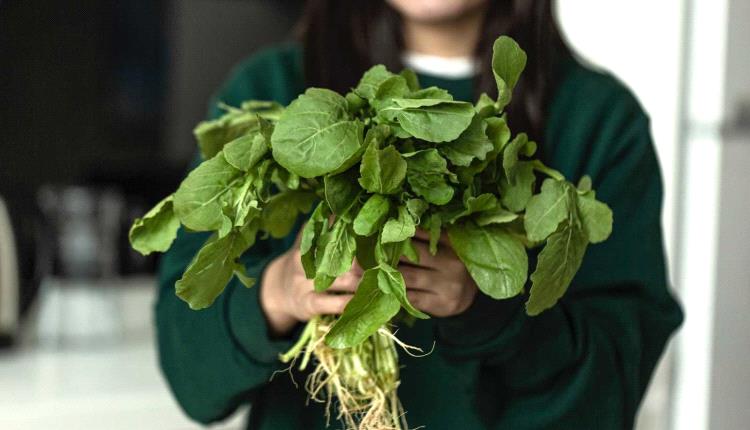 الجرجير يتصدر قائمة الخضروات الأكثر صحة