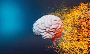 وجبة خفيفة يومية تحسّن الذاكرة خلال أربعة أشهر!