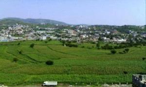 الحـ.ـوثيون يوسّعون الجبايات ويستهدفون مزارعي البطاطس ومربي النحل في إب