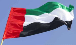 الإمارات تدين بشدة التفـ.ـجير الإرهـ.ـابي في حمص السورية