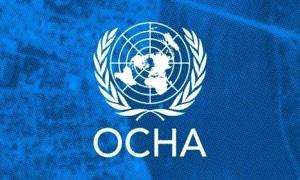 الأمم المتحدة: الأوضاع الأمنية في وادي وصحراء حضرموت مستقرة