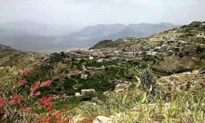 مقـ.ـتل شاب على يد عمه في محافظة ريمة اليمنية