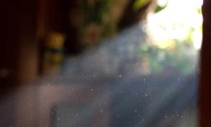 تحذير صحي.. الهواء داخل المنزل قد يضر أكثر من الخارج
