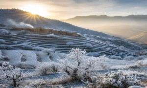 موجة شديدة البرودة تضرب هذه المحافظات خلال الساعات القادمة