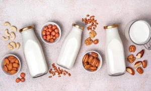 حليب الألبان أم الجوز.. أيهما الأفضل صحياً؟