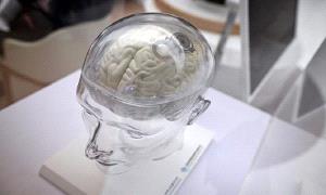 تطوير طريقة لمراقبة نشاط الدماغ وتحليل الإرهاق بدقة