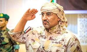 الجنوب ينتصر... وقائدنا يصنع المجد
