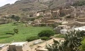 جـ.ـثة فتاة معلقة في شجرة تثير الرعـ.ـب في هذه المحافظة!