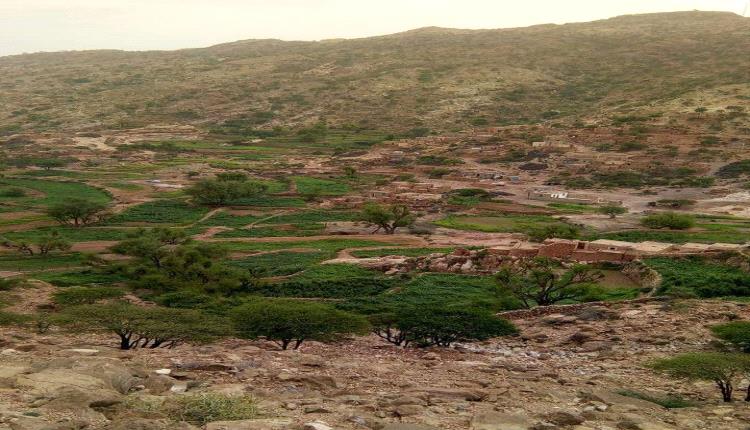 "طريق العقلة – حيد ردفان... طريق مختصر وأجر ممتد"