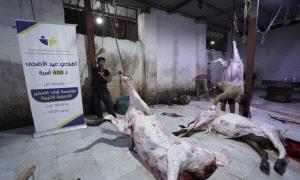 مؤسسة أولاد الصغير التنموية تنفذ مبادرة توزيع لحوم الأضاحي على 400 أسرة 