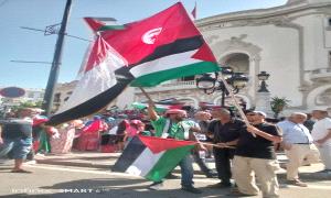 التضامن العربي والتلاحم؛ فلسطين وتونس أنموذجا