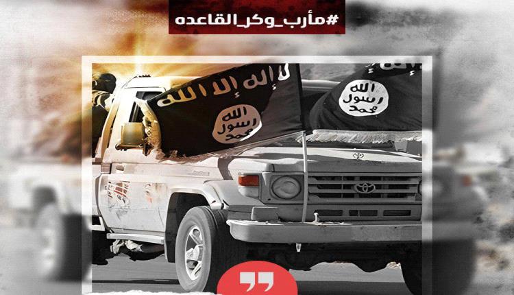 لماذا شكلت مأرب بيئة خصبة لتنظيم القاعد*ة؟ 