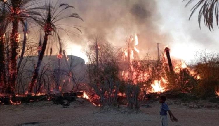 حريق ضخم يلتهم أكثر من 150 شجرة نخيل في ساه بحضرموت