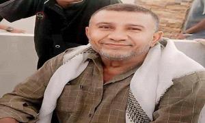 فقدان هامات في هامة ثمينة زبينة