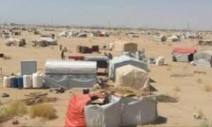 تحذير عاجل من كارثة إنسانية بمأرب: خطر طرد يهدد 256 ألف نازح
