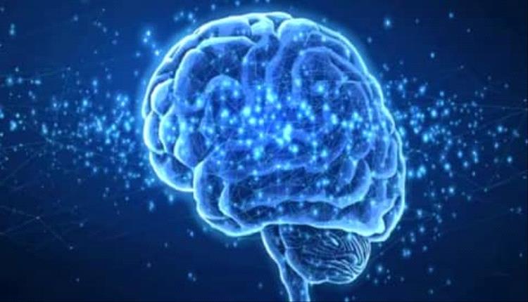 دراسة أمريكية: الأطعمة فائقة المعالجة تهـ.ـدد صحة الدماغ
