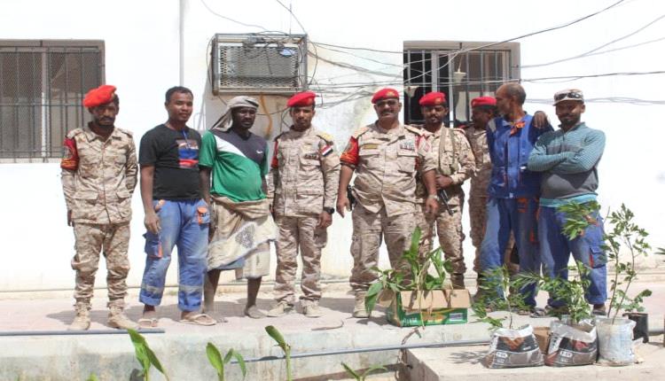 الشرطة العسكرية في المكلا تنفذ حملة تشجير لتحسين بيئة العمل في ساحة القيادة