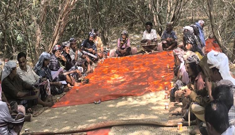 تحكيم قبلي ينهي خلافاً بين قبيلتي آلـ باساحم وآلـ المساعدة في أحور بمحافظة أبين