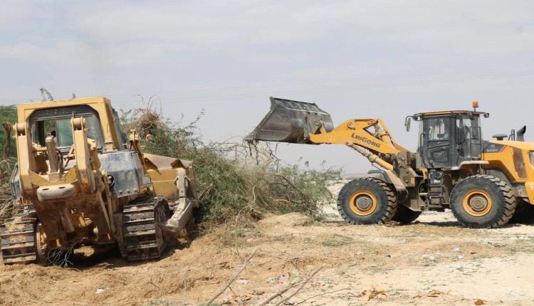 استمرار حملة إزالة شجرة السيسبان بمساهمة تنفيذية انتقالي قشن