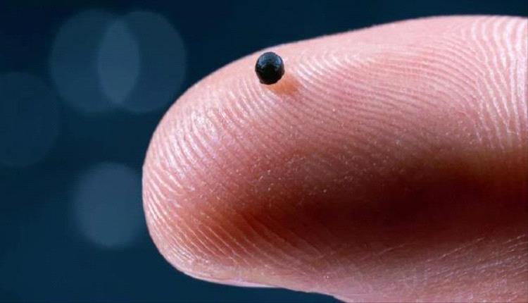 كبسولات روبوتية تذيب جلطات الدماغ بدقة
من هنا وهناك