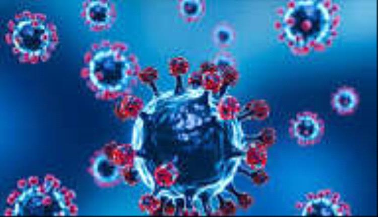 تفشي ماربورغ في إثيوبيا يثير مخاوف إقليمية… وتحذيرات من خطر وصوله إلى اليمن