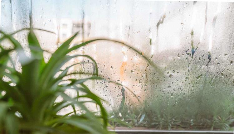 لماذا تزيد رطوبة الطقس من شعورك بالتعب والإجهاد؟