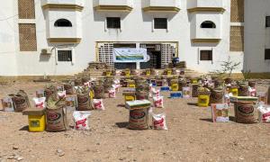 ضمن اطار المسوؤلية الطلابية..نادي الطالب الجامعي يطلق منحة غذائية اسعافية للملتحقين بسكنات جامعتي حضرموت وسيئون