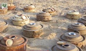 مسام تحمي المدنيين.. إزالة 50 لغماً حو..ثياً في ميدي

