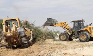 استمرار حملة إزالة شجرة السيسبان بمساهمة تنفيذية انتقالي قشن