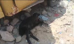 مليشـ.ـيات الحـ.ـوثي تستهـ.ـدف منازل المواطنين في حريب بمأرب بالطيـ.ـران المسـ.ـير