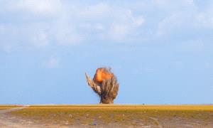 مسام يتلف 4100 لغـ.ـماً وقنـ.ـبلة ومخلفـ.ـات حـ.ـربية في باب المندب