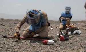  الألـ.ـغام الأرضية في اليمن حقول شاسعة نباتها المـ.ـوت والإعاقة