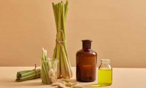 روائح طبيعية تنشط جسمك وعقلك.. تعّرف عليها